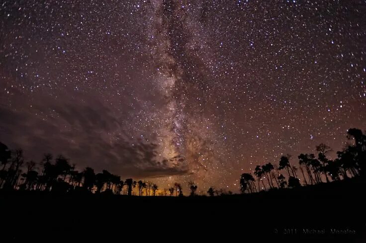 Млечный путь на небе фото реальное 500px / Photo "Seeing the Universe Above the Forest" by Michael Menefee Milky wa