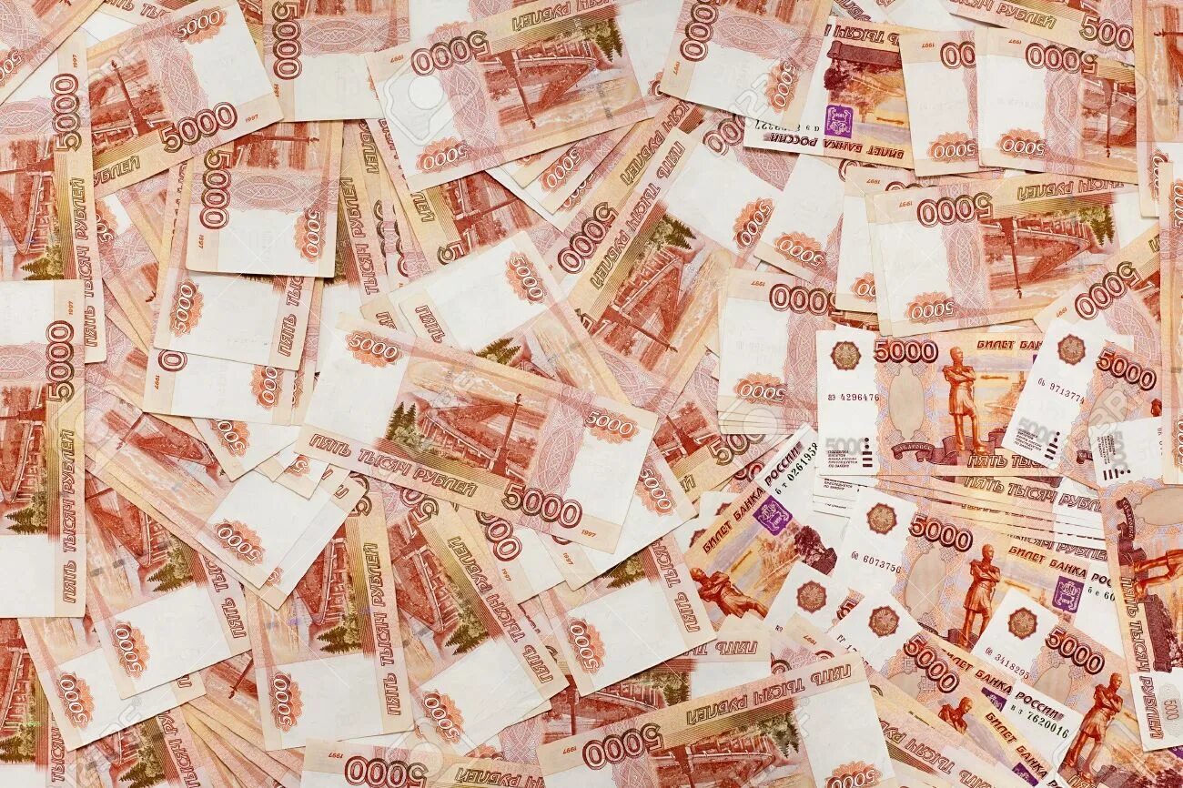 Много денег фото в хорошем Белорусский бизнесмен вложит 600 млн рублей в клинику в Карелии