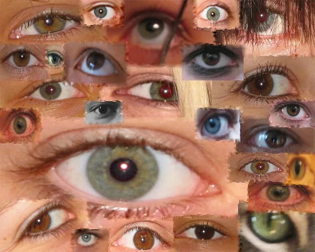 Много глаз фото Eyes I actually went up to people who I only talked to lik. Flickr