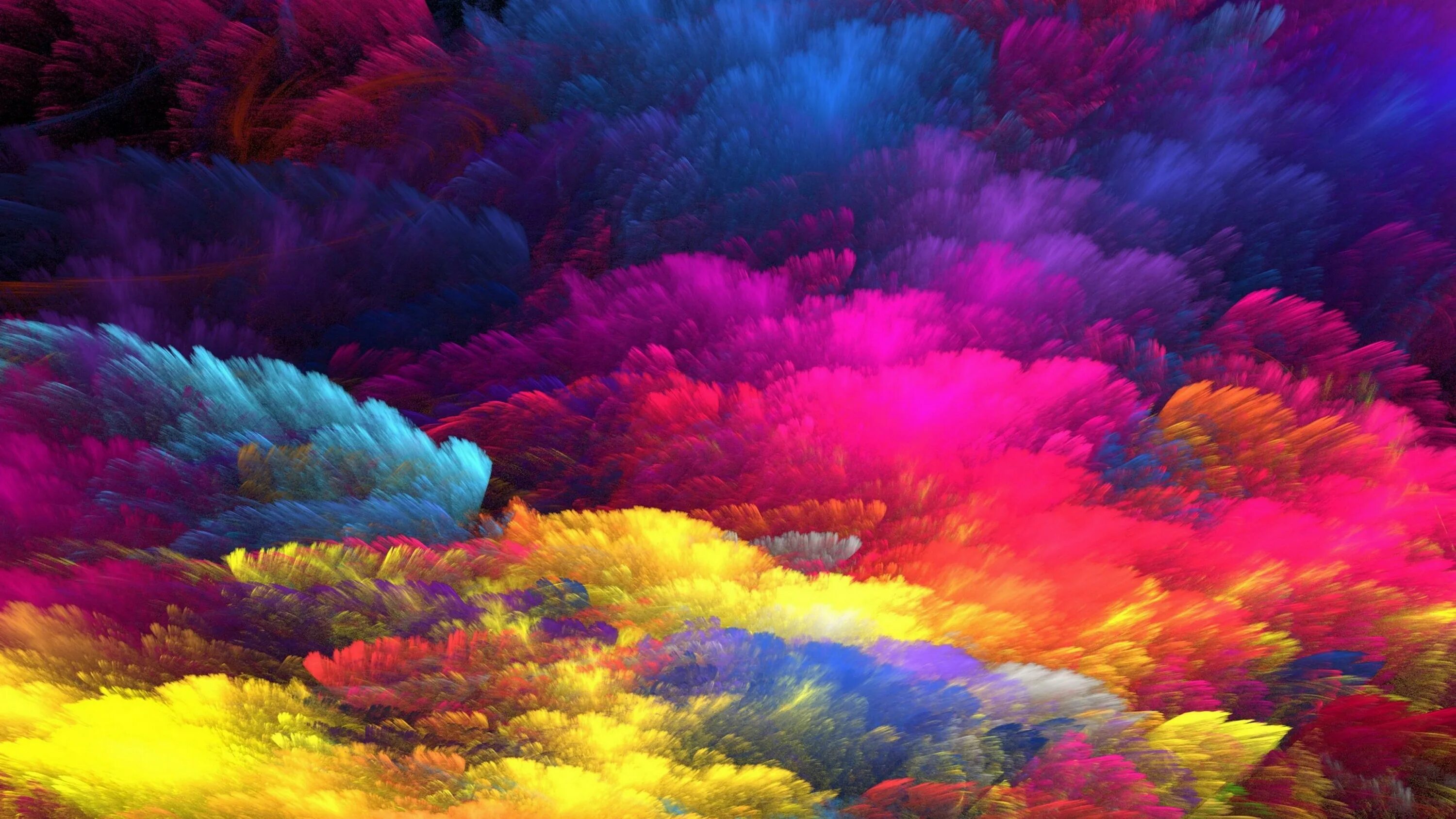 Много красок фото Bright colors: найдено 90 картинок