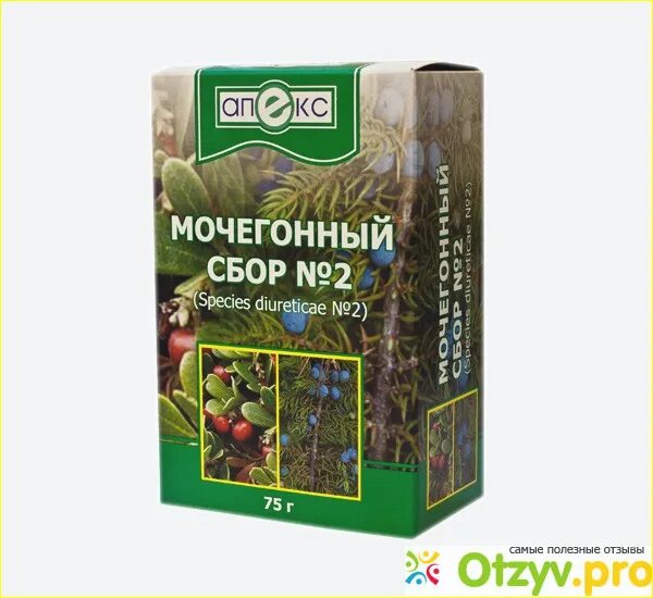 Мочегонные травы название фото МОЧЕГОННЫЕ средства для похудения советы и инструкции 15:31 2023