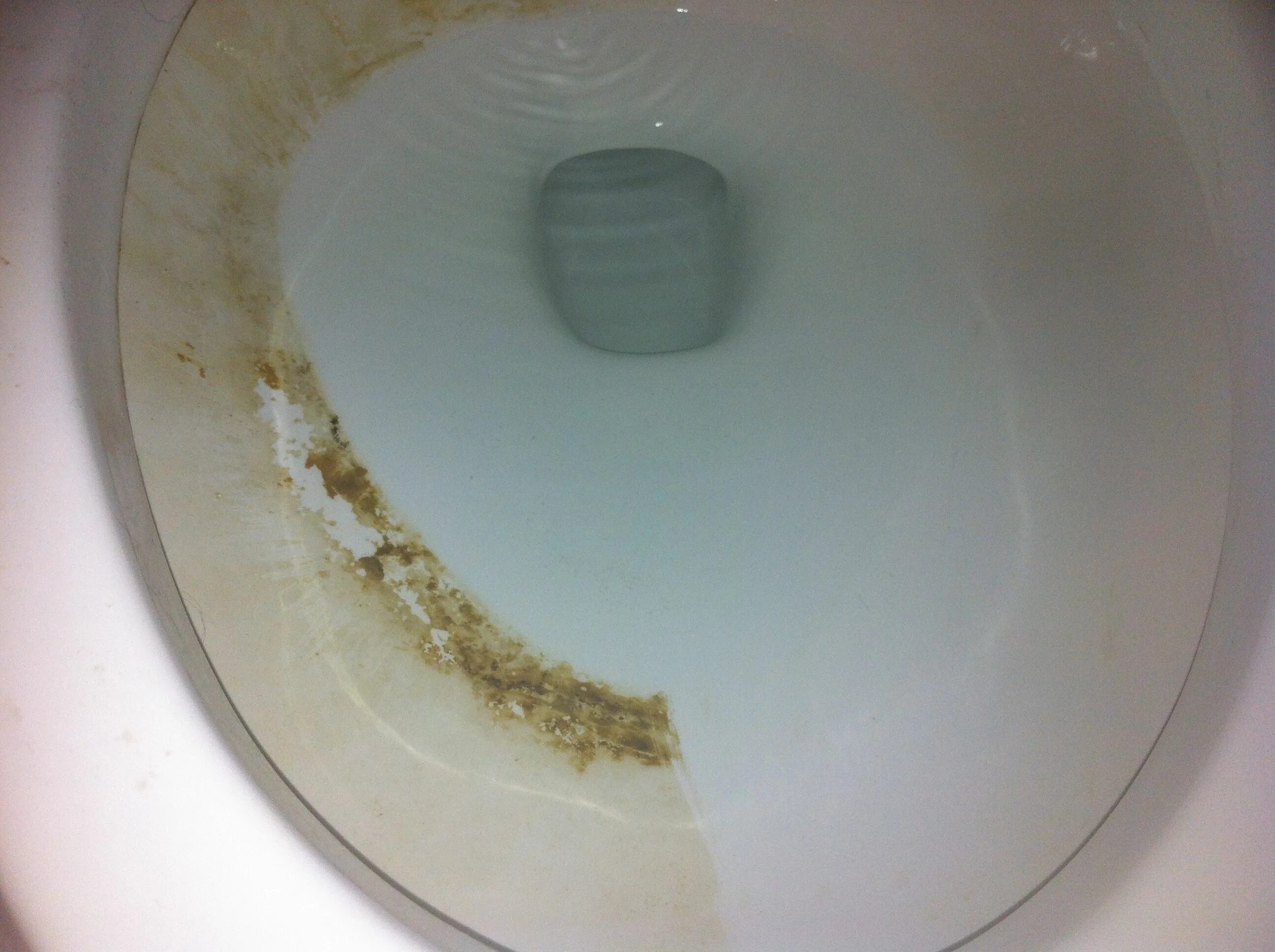 Мочевой камень в унитазе фото Clean hard water rings off you toilet, sink, or bath tub with a Pumice Stone! As