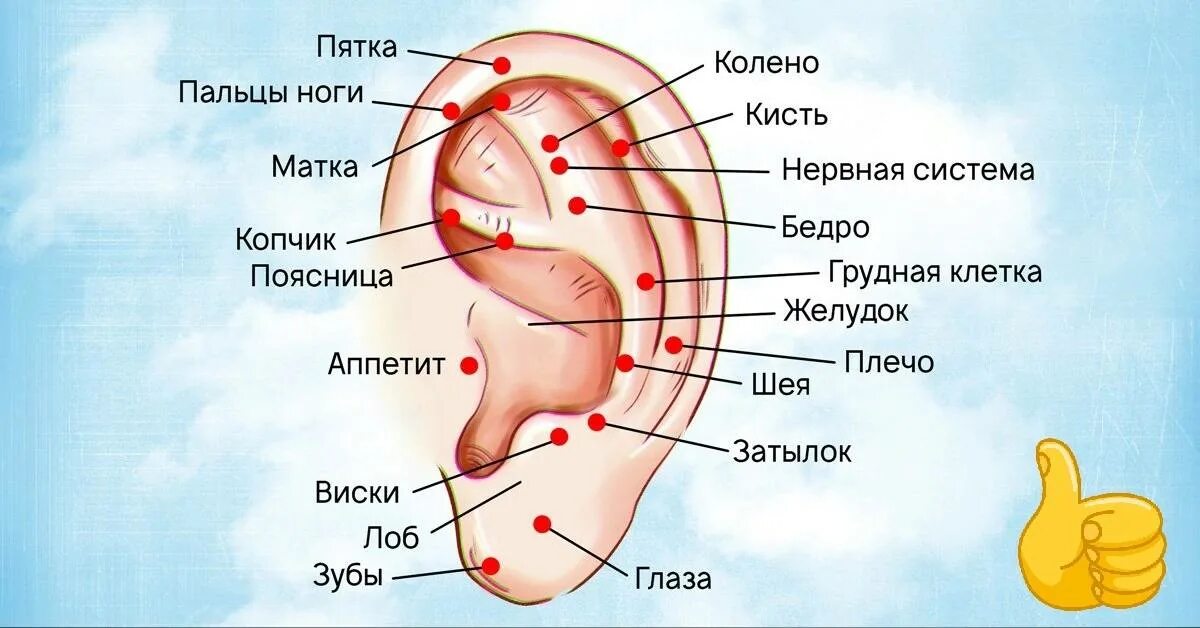 Мочка уха где находится фото #1887 post - Монах из Тибета (@monahizt)