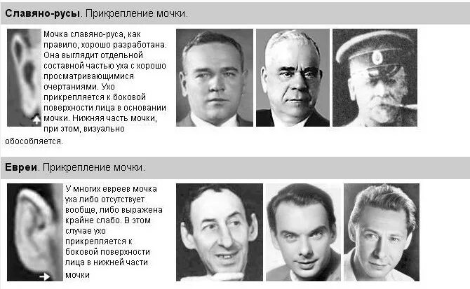 Мочки ушей еврейские фото Разновидности евреев - блог Санатории Кавказа