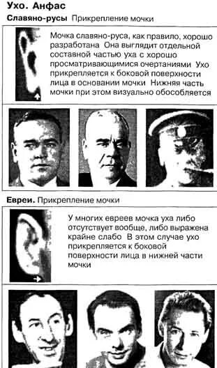 Мочки ушей еврейские фото Ответы Mail.ru: какие характерные черты у евреев?