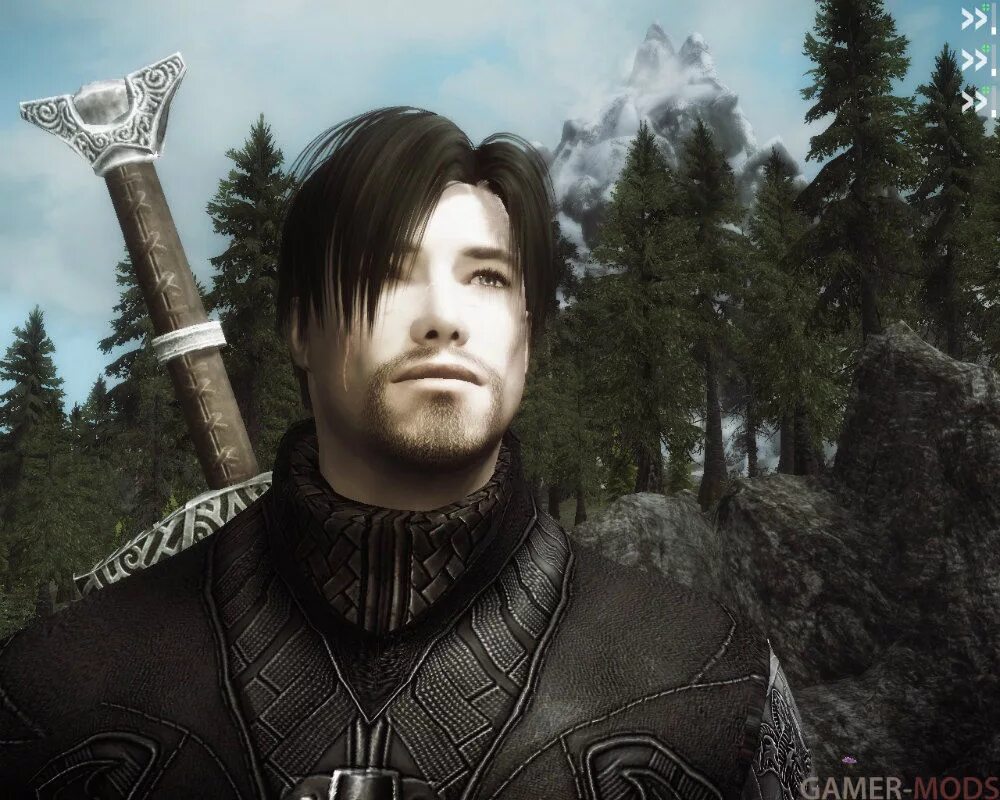 Мод для мужских лиц skyrim Моды для Skyrim LE на русском - Gamer-mods