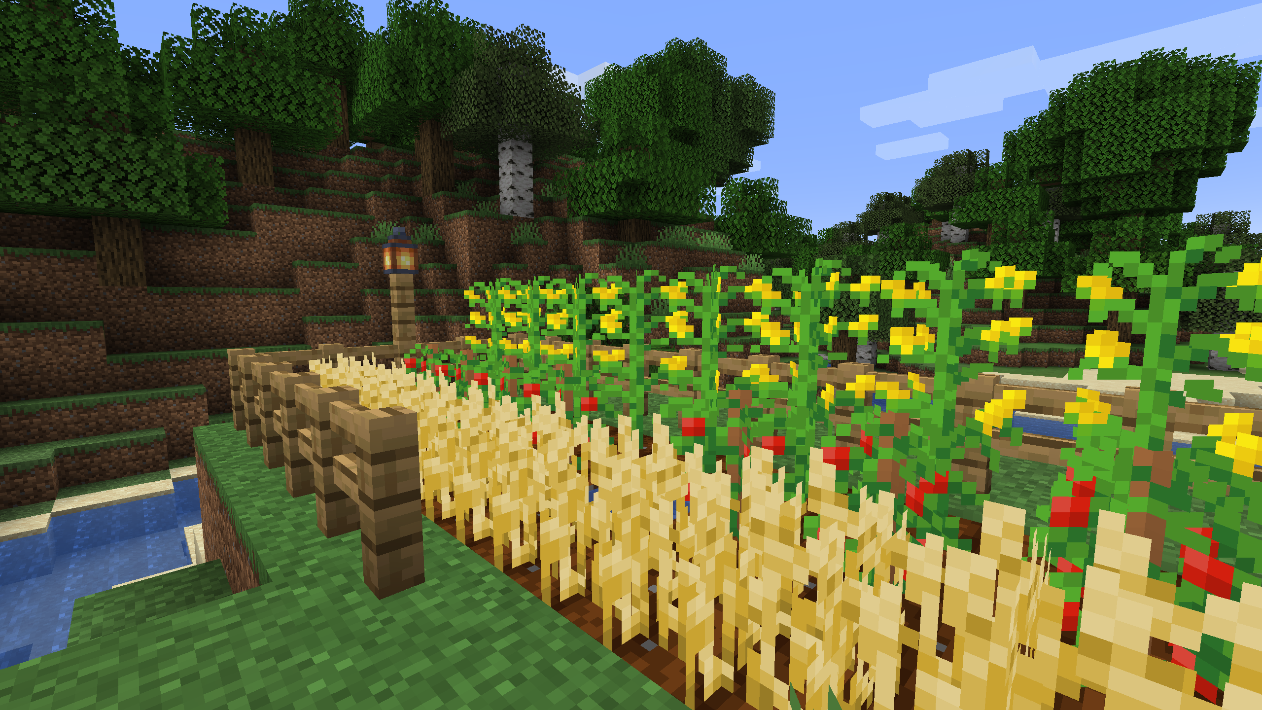 Мод на фото в майнкрафт 1.16 5 Картинки FRUIT MOD MINECRAFT