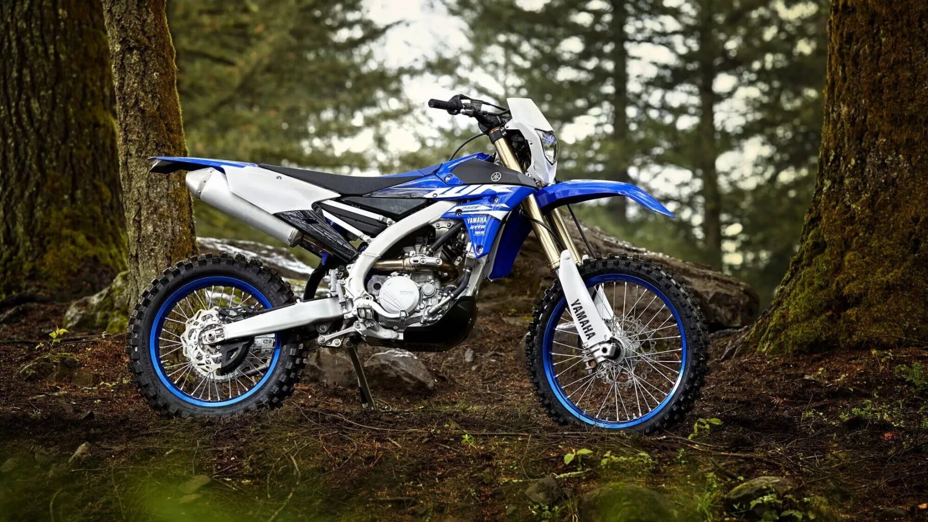 Мотоцикл эндурик фото Купить мотоцикл Yamaha WR250R в Великом Новгороде Официальный дилер "ФиберБот"