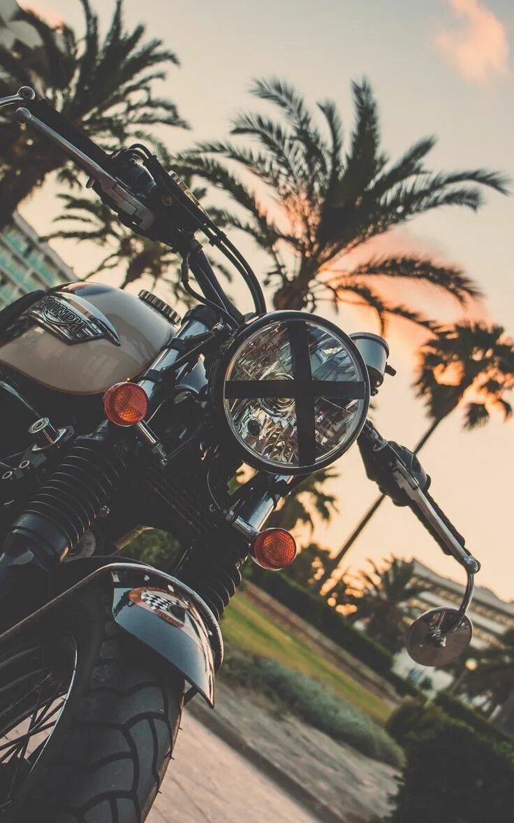 Мотоцикл фото на телефон Wallpaper bike motorcycle palm tree Moto wallpapers, Motorcycle wallpaper, Hd wa