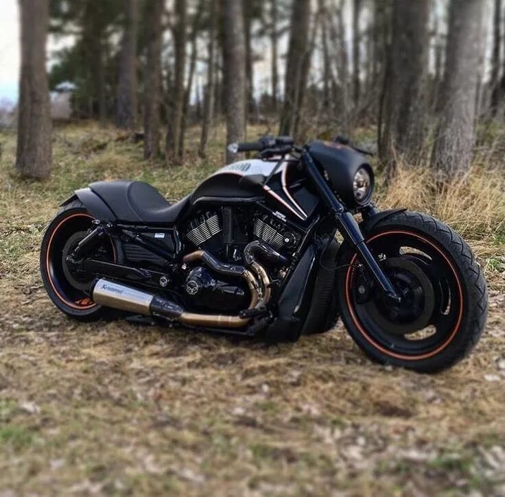Мотоцикл harley davidson фото Pin di MisterMakeup su Harley Motocicli personalizzati, Muscle car, Harley david