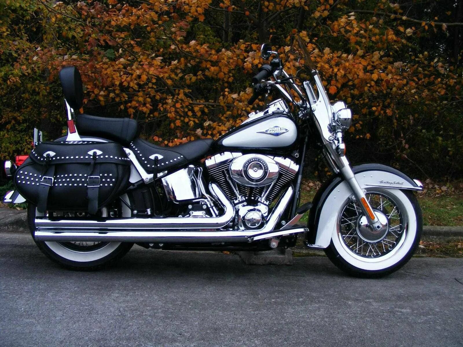 Мотоцикл harley davidson фото Русский харлей