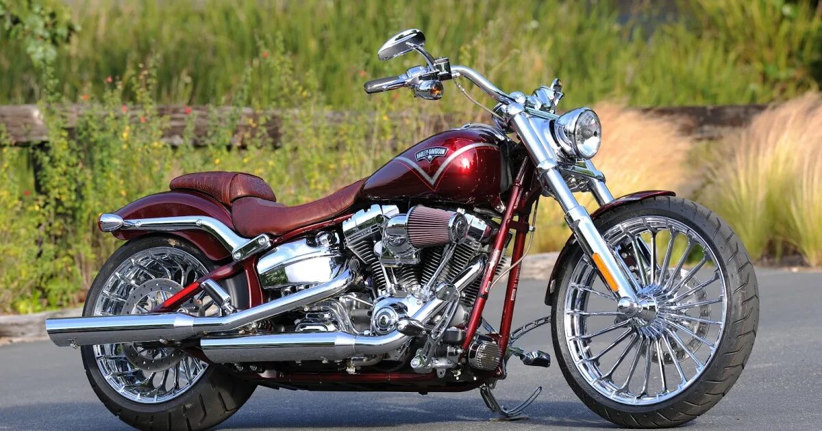 Мотоцикл харлей дэвидсон фото Президенту Harley-Davidson предложили построить завод на Вологодчине - РБК