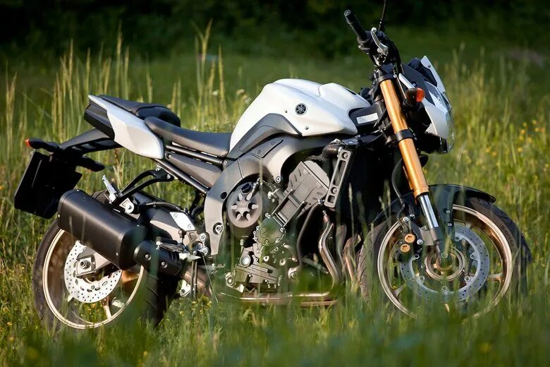 Мотоцикл простой фото Yamaha FZ8-N