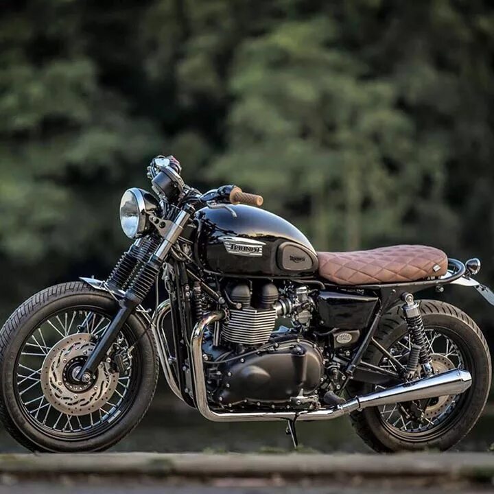 Мотоцикл триумф фото Triumph Bikes : Photo Triumph bikes, Triumph cafe racer, Triumph scrambler