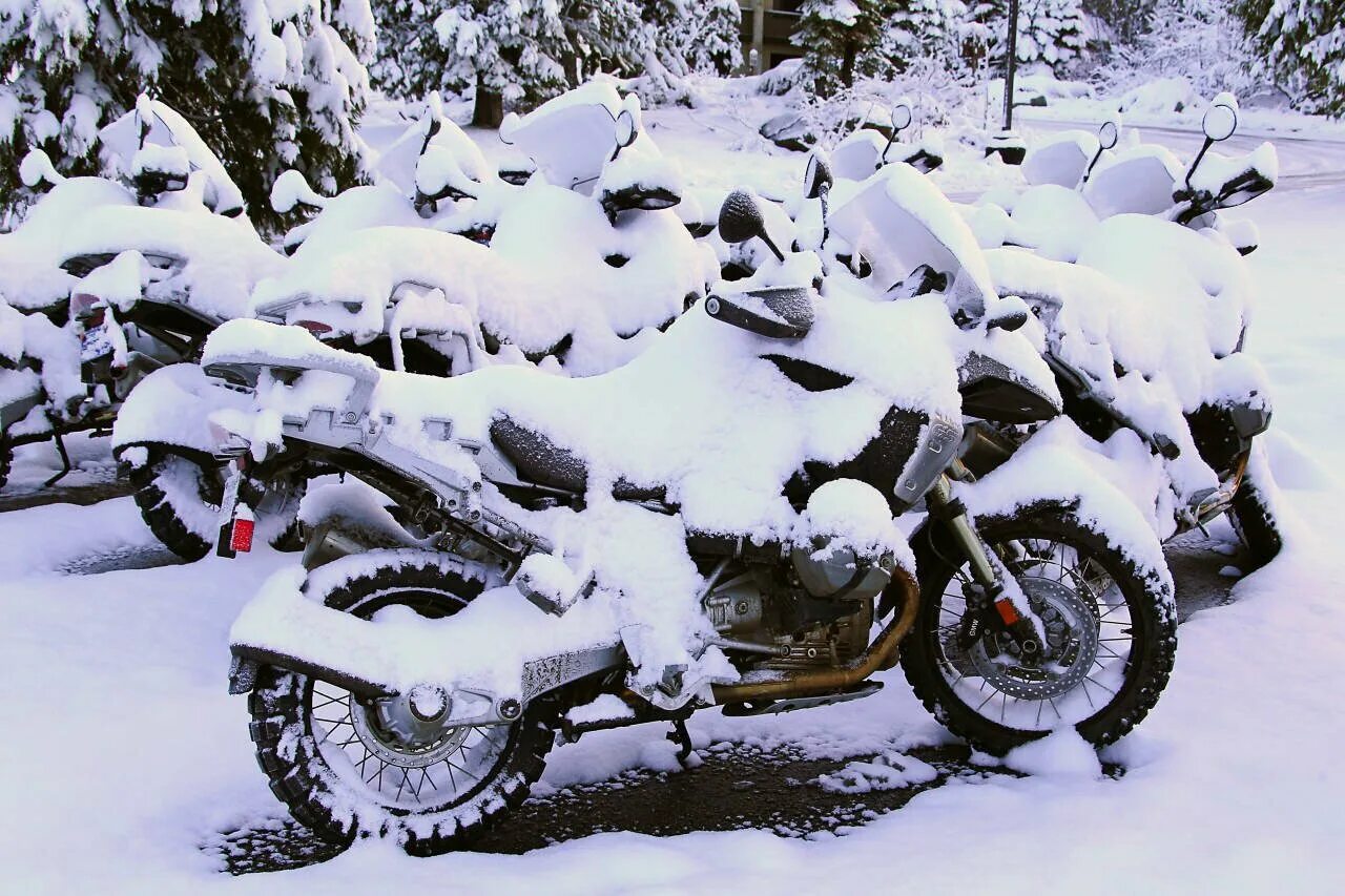 Мотоцикл зимой фото Moto one, магазин-сервис для мотоциклов, метро Кленовый бульвар в Москве - отзыв