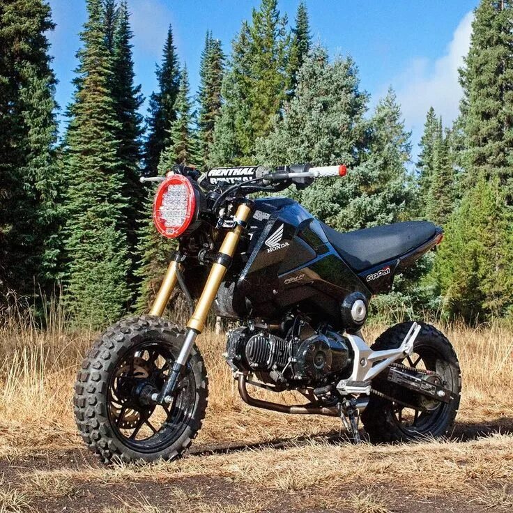 Мотоциклы для бездорожья фото Compact custom off road Honda motorcycle Honda grom, Mini motorbike, Mens toys