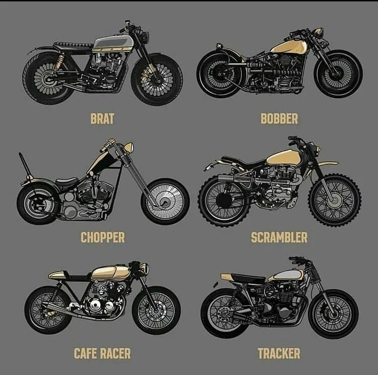 Мотоциклы названия и фото Pin by Get Plushed on Cafe Racers Best motorbike, Cafe racer, Cafe racer motorcy