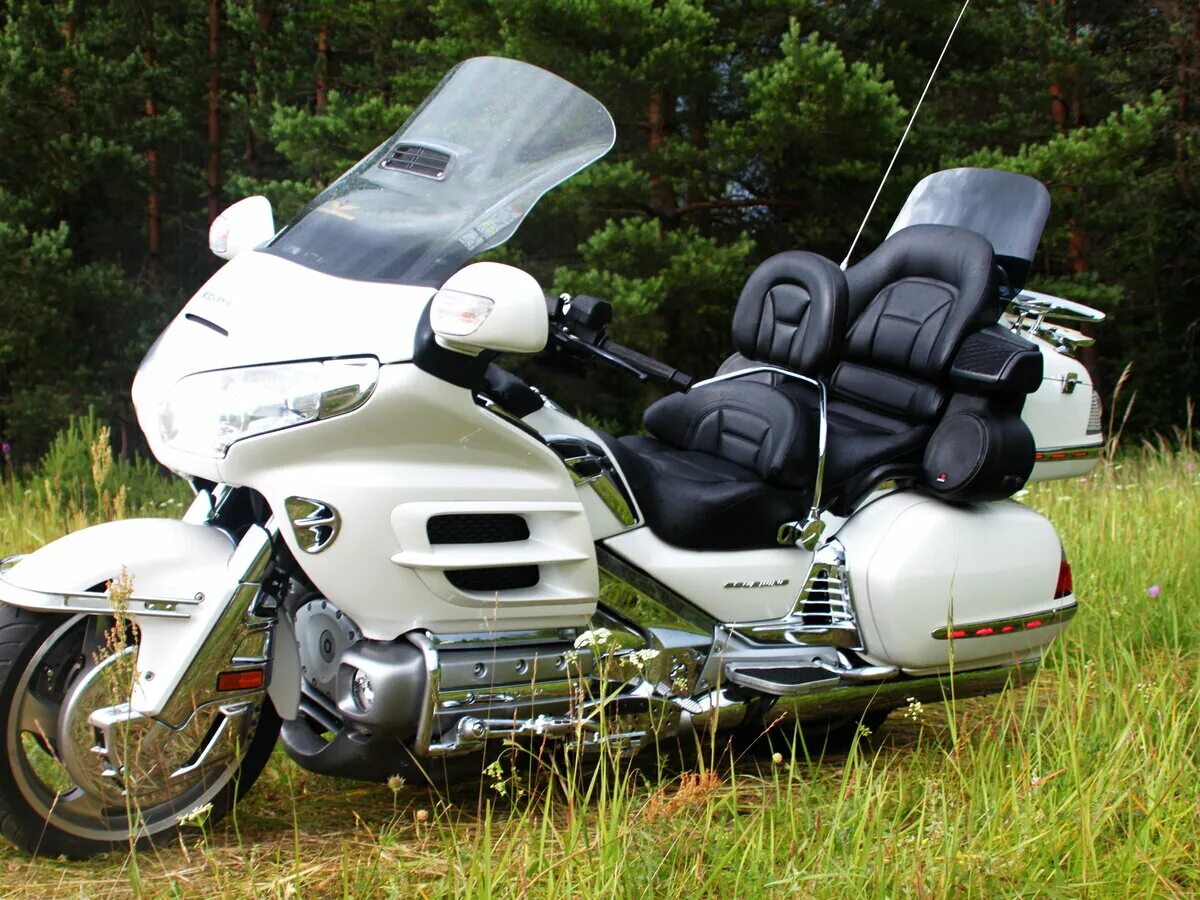 Мотоциклы турист фото Купить б/у Honda GL 1800 инжектор 5 прямых и задняя в Санкт-Петербурге: белый кр