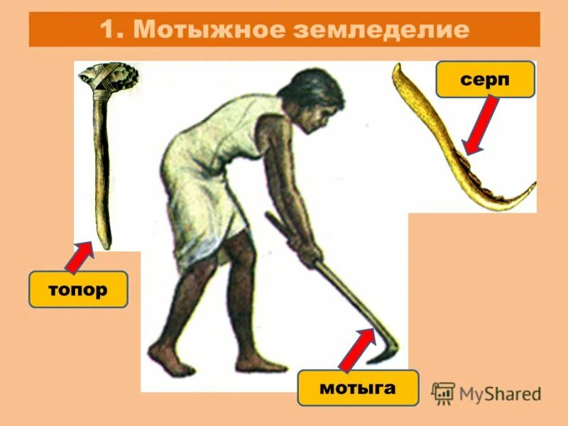 Мотыга фото 5 класс история Мотыга труда - найдено 85 картинок