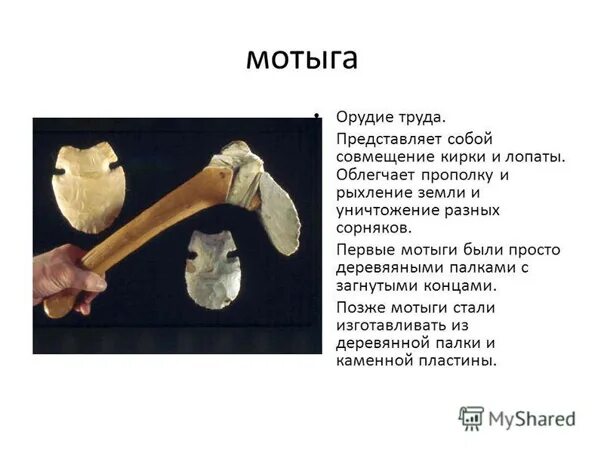 Мотыга фото 5 класс история первобытное общество - Фотография 17 из 80 ВКонтакте