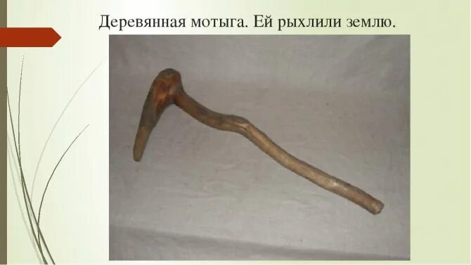 Мотыга фото 5 класс история Виды тяпок для прополки - выбираем инвентарь для работы в саду и огороде