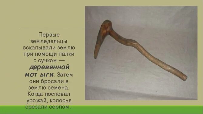 Мотыга фото 5 класс история Виды тяпок для прополки - выбираем инвентарь для работы в саду и огороде