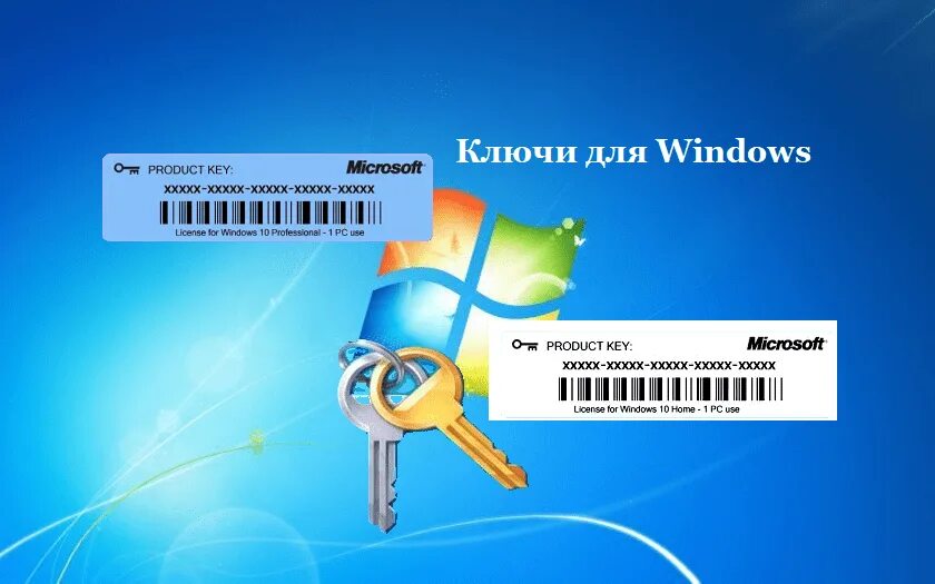 Мовавика фото ключ активации 2024 сентябрь Рабочие ключи для 7