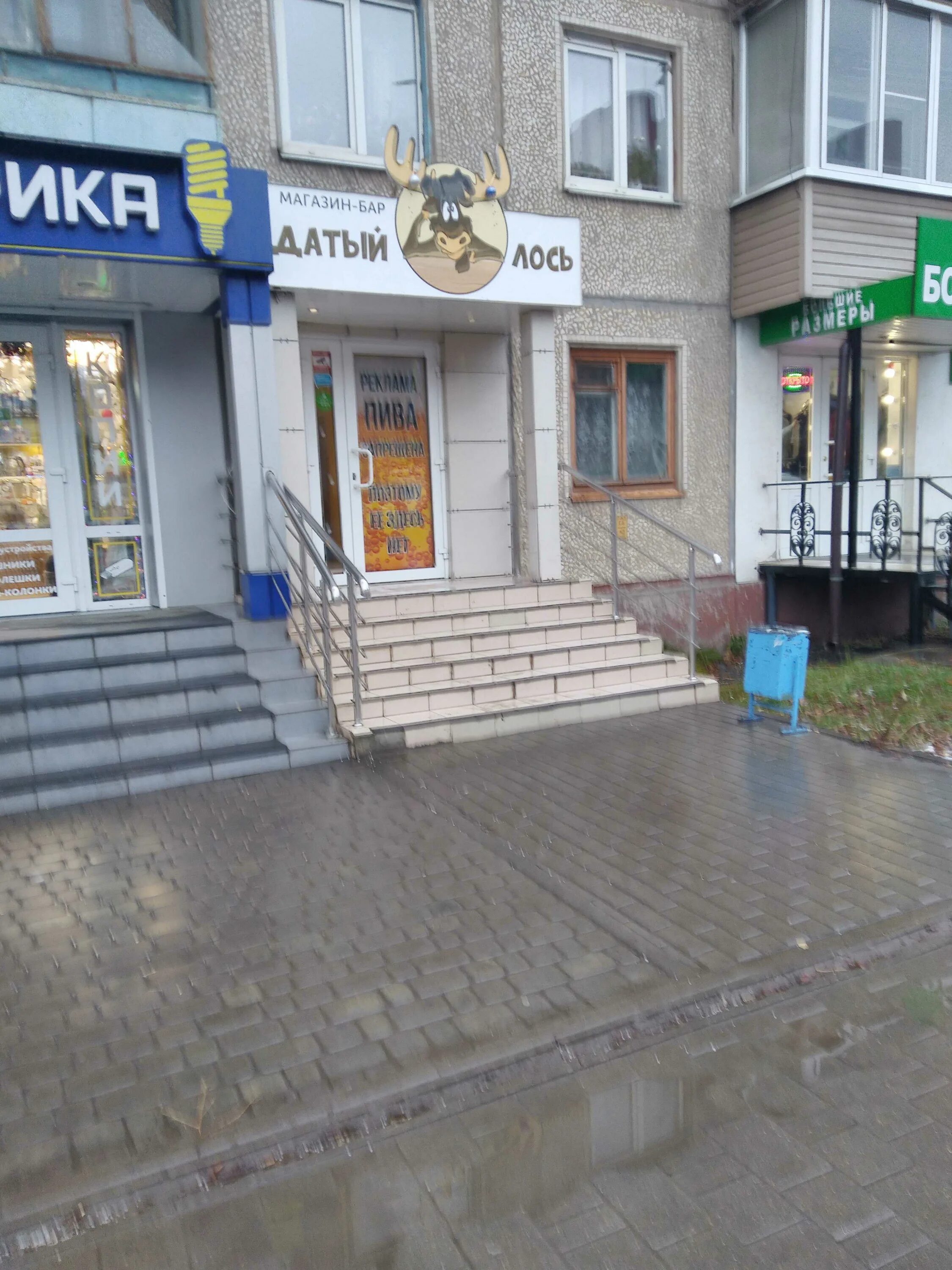 Мой аквариум ул металлургов 94 тула фото Бар Датый Лось по адресу Металлургов, 94 в Тула - меню 2024, фото, цены, адрес