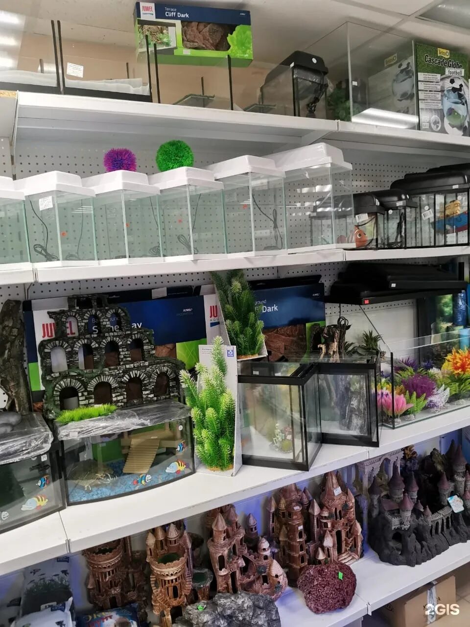 Мой аквариум ул металлургов 94 тула фото Зоомагазин Тула Интернет Магазин - Kupit-v-internet-magazine.ru