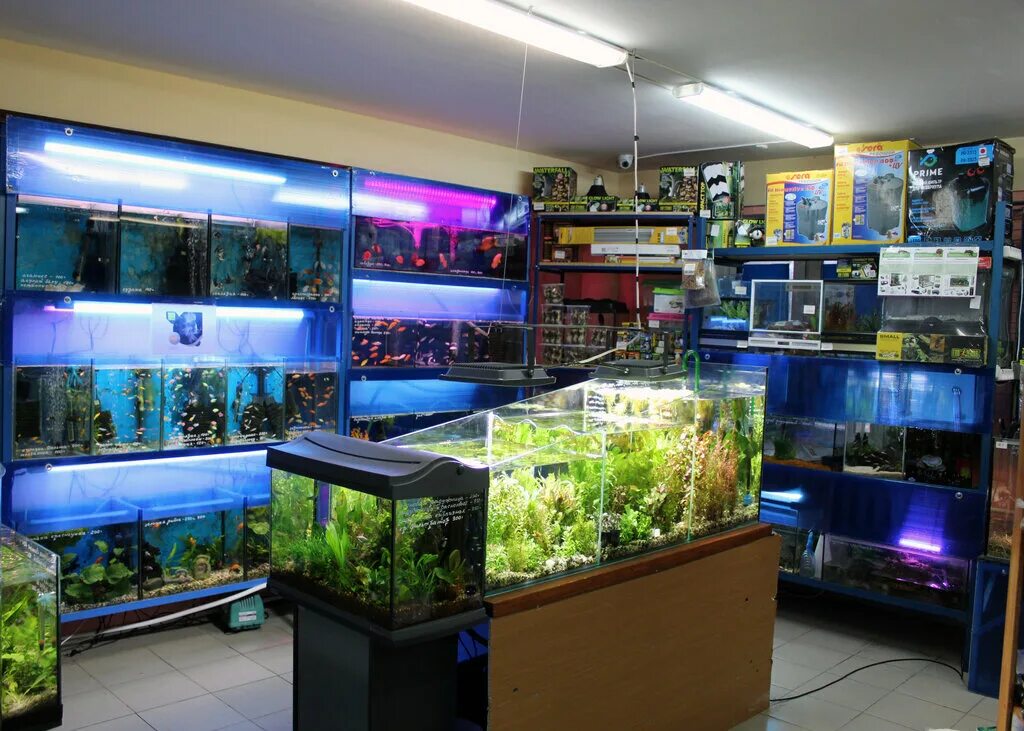 Мой аквариум ул металлургов 94 тула фото Panorama: Aquaklass, aquariums, Tula, Lunacharskogo Street, 49 - Yandex Maps