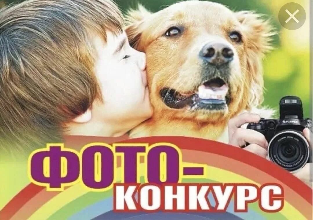 Мой питомец первомайская ул 42 фото Фотовыставка "МОЙ ЛЮБИМЫЙ ПИТОМЕЦ" 2024, Альшеевский район - дата и место провед