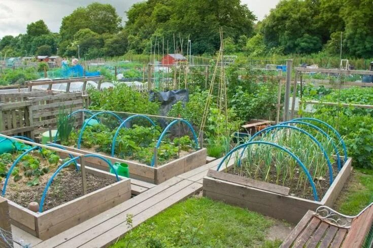 Моя дача сад и огород своими руками Le potager perpétuel en permaculture MonJardin.org Vegetable garden design, Gard