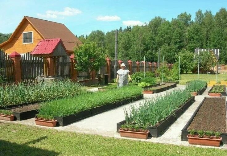 Моя дача сад и огород своими руками Пин от пользователя Елена на доске Для дома и сада Огород, Садовые идеи, Дизайн