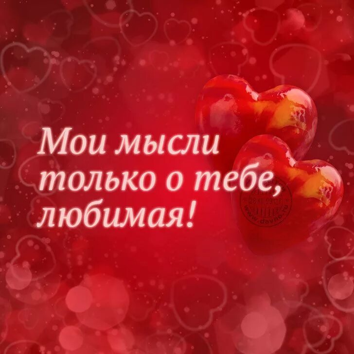 Моя любимая бывшая фото Картинки для любимой "Я люблю тебя" (36 фото) ⭐ Мемы на любой случай Картинки, Р