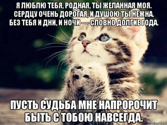 Моя любимая бывшая фото Лента по интересам - Картинки - 2174892 - Tabor.ru