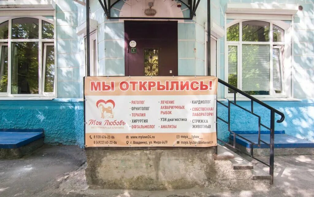 Моя любовь ул мира 44 9 фото Ветеринарная клиника Моя любовь, ветеринарная клиника, ул. Мира, 44/9, Владимир,