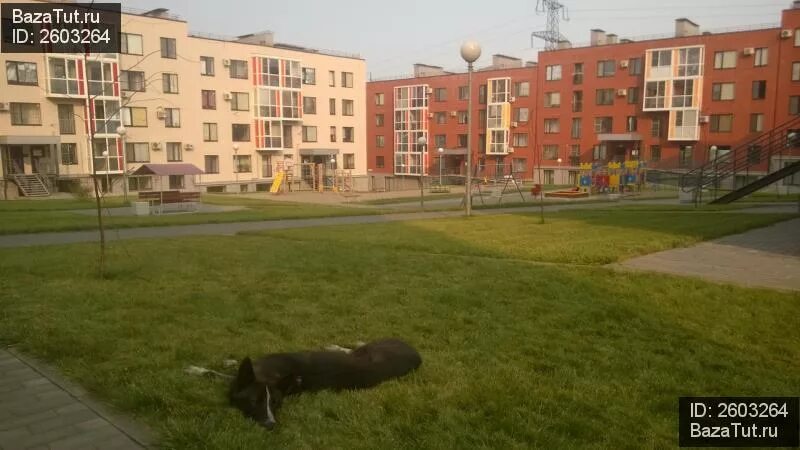Моя мечта ул солнечникова 19 фото Фотографии 1-комнатной квартиры на продажу в Волгограде по адресу улица Солнечни