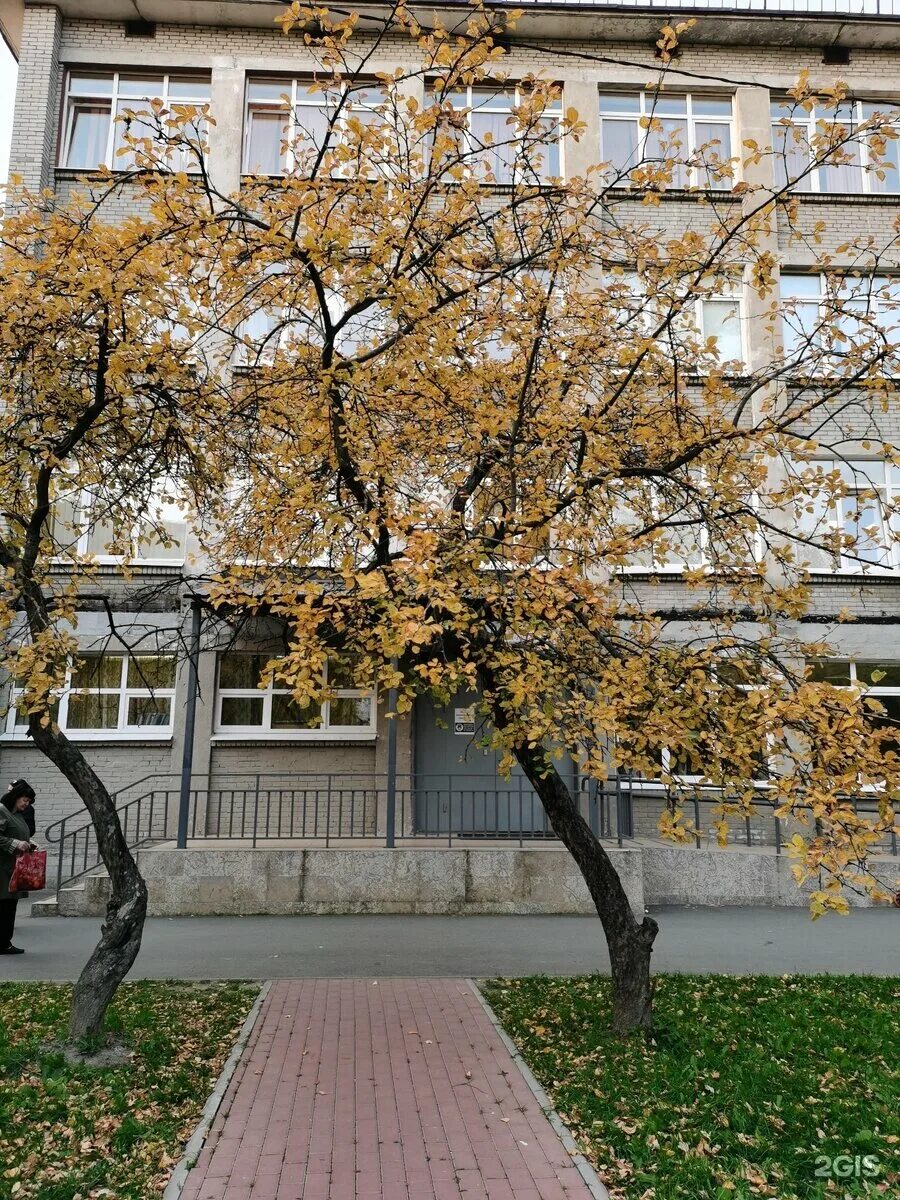 Моя школа ленинский просп 49в фото Школа 663 московского района спб Подготовка к школе. Канцелярские товары в СПБ. 