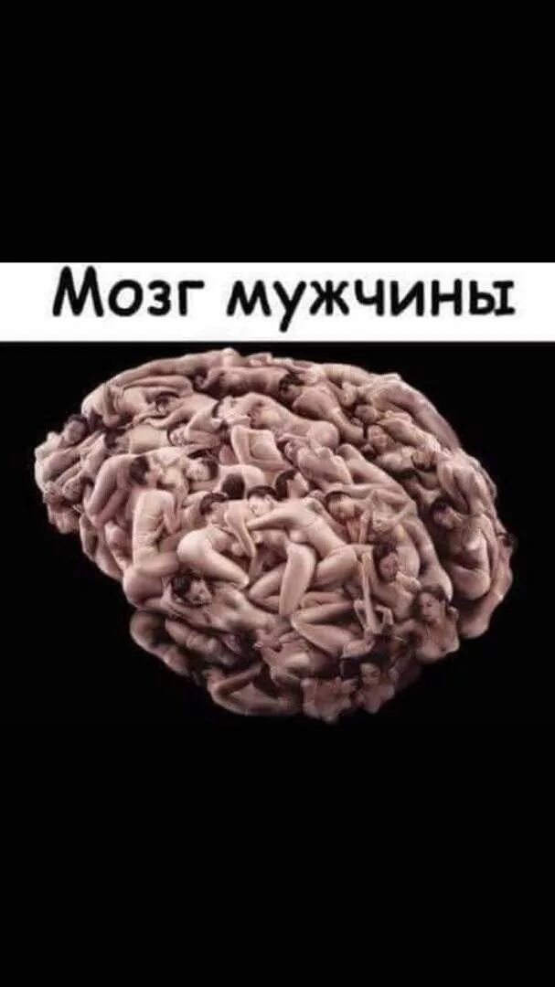 Мозг фото смешное Пин от пользователя Eva Black на доске альбом / СТАТУСЫ Витиеватый юмор, Рабочий