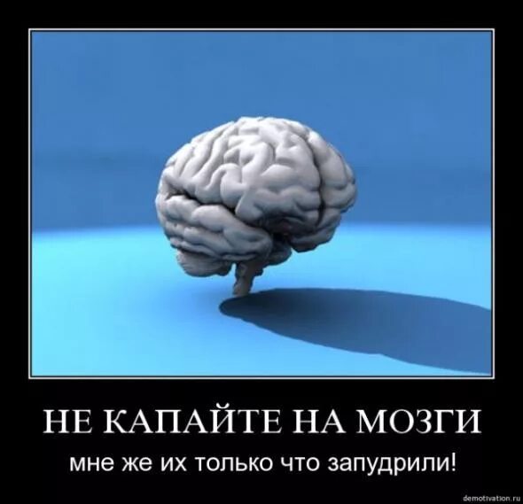 Мозг фото смешное Ответы Mail.ru: Какой состав у пудры для мозгов?