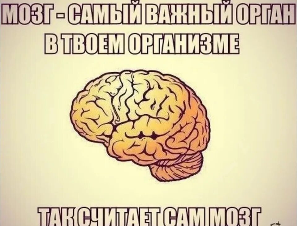 Мозг фото смешное Искажения: иллюзия правды. - DRIVE2
