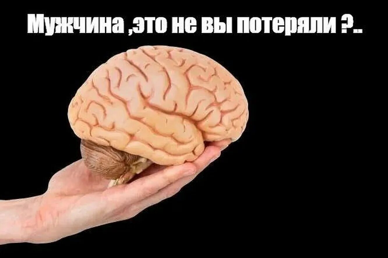 Мозг фото смешное У тебя что то с головой: найдено 76 изображений