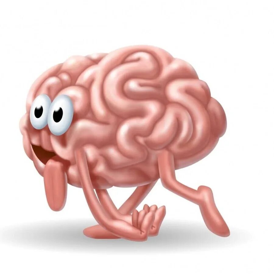 Мозг фото смешное Mrs. Brain - YouTube