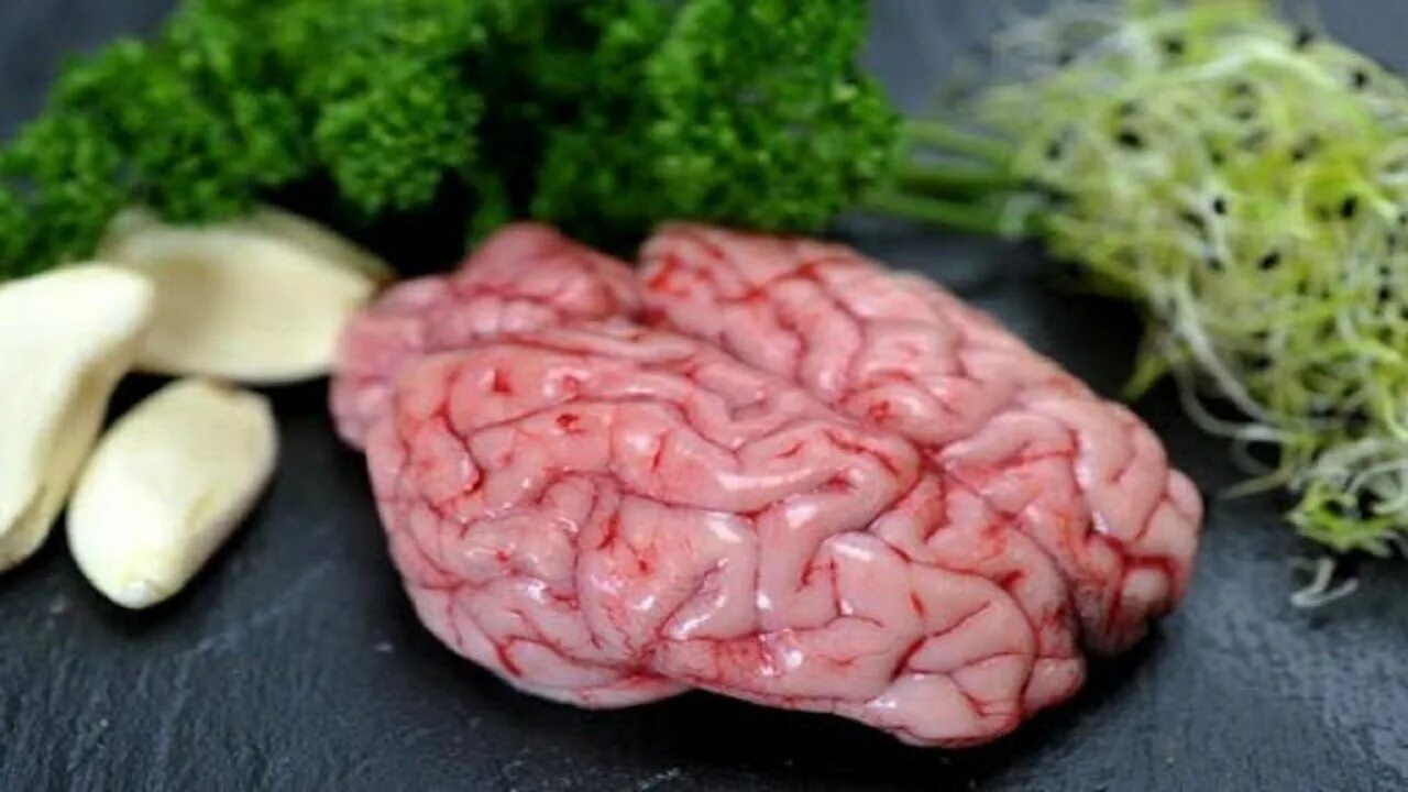 Мозги рецепт приготовления фото Goat Brain Fry Village Style ஆட்டு மூளை வருவல் Singles Food Factory..! - YouTube