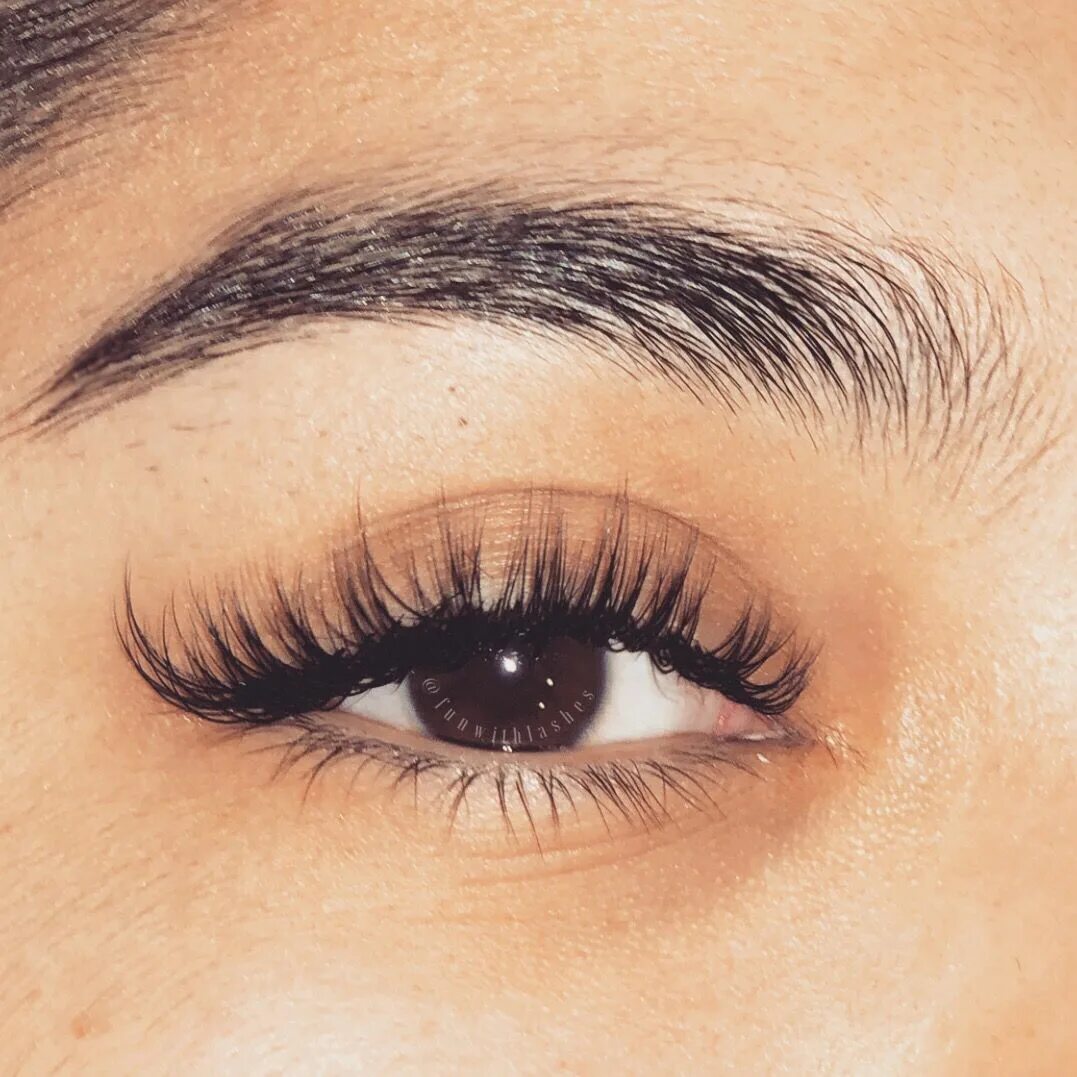 Нарощенные ресницы американка эффект фото Pin by Yasmin K on Wimpern Natural fake eyelashes, Eyelash extensions, Individua