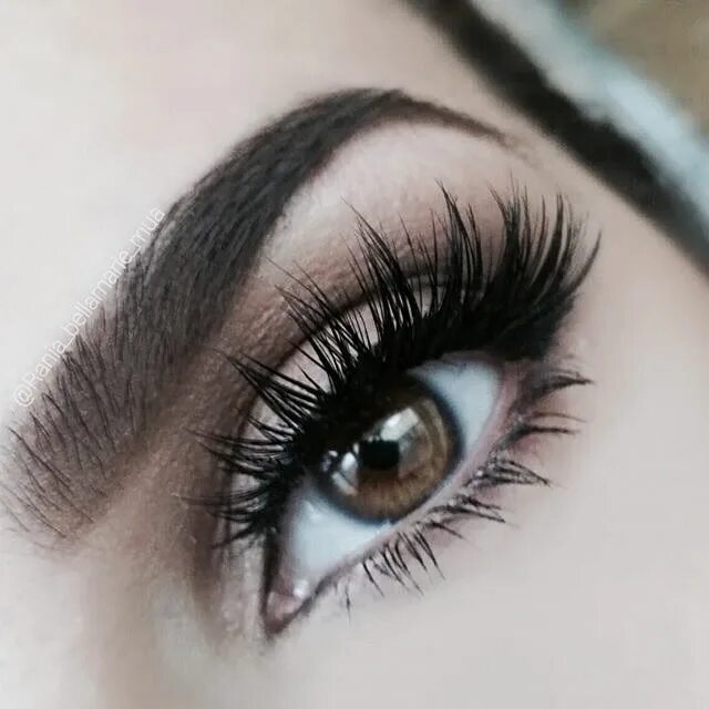 Нарощенные ресницы фото разные Pin by Joscelyn Zvulun on Lashes Best false eyelashes, False eyelashes, Eyelash 