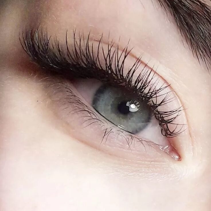 Нарощенные ресницы как натуральные фото Классика Natural long eyelashes, Longer eyelashes, Eyelashes