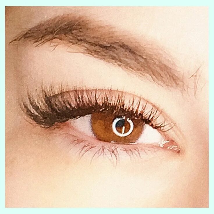 Нарощенные ресницы классика коричневые фото Ресницы цвета горький шоколад Lashes