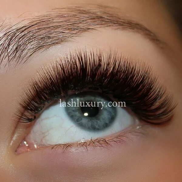 Нарощенные ресницы коричневого цвета фото NMBeauty Studio by Nadia Afanaseva - Theater District - New York, NY