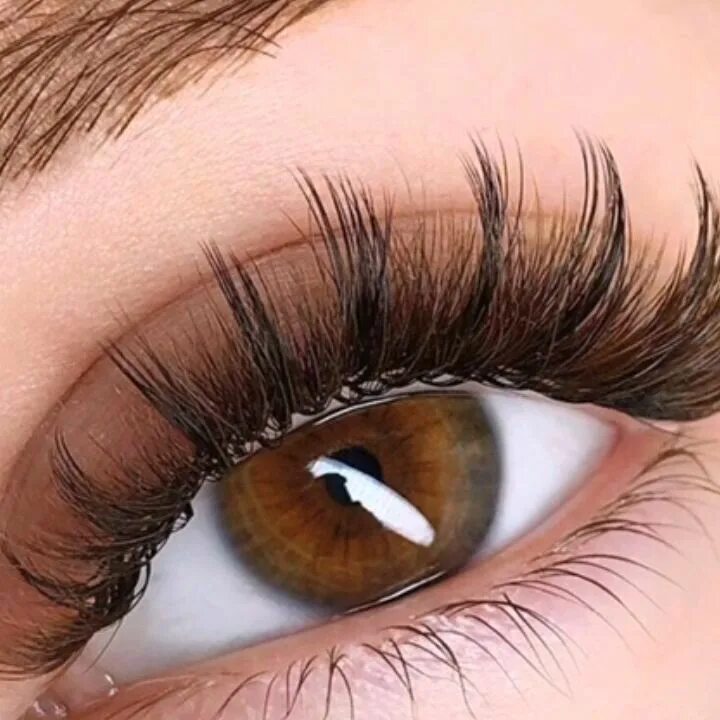 Нарощенные ресницы коричневого цвета фото ThousandLashes Eyelash extensions, Whispy lashes, Lashes